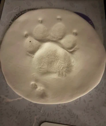 Cuda Paw Print